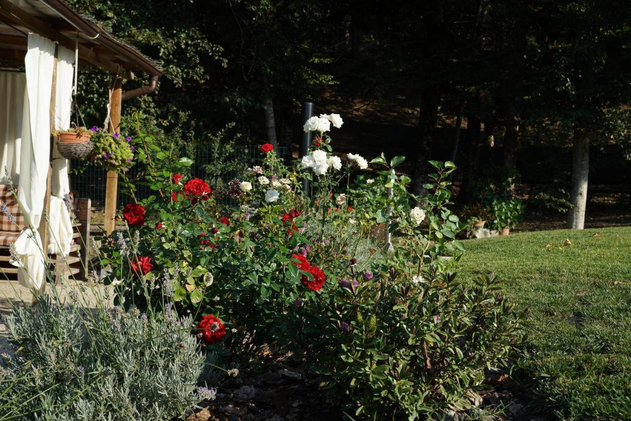 Casa Camporino Poppi Esterno foto